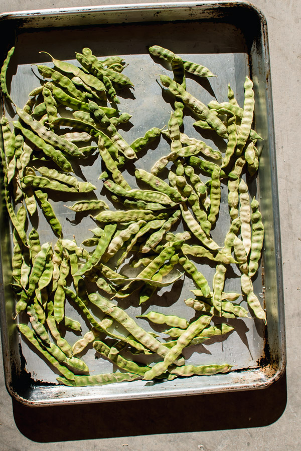 How to Make Mesquite Bean Coffee The Frayed Apron